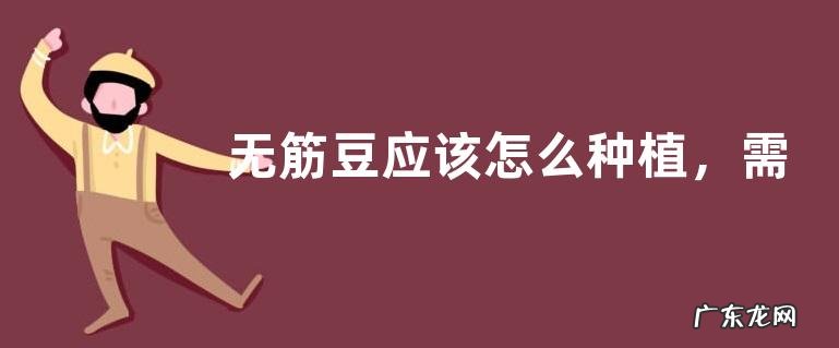 无筋豆应该怎么种植,需做好以下几点