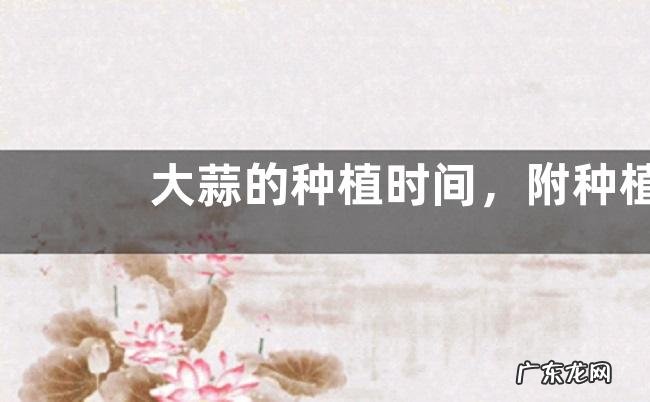 大蒜的种植时间,附种植技术要点