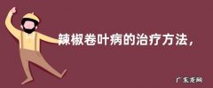 辣椒卷叶病的治疗方法，附预防措施