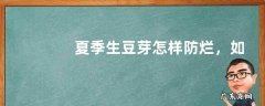 夏季生豆芽怎样防烂，如何快速生长豆芽