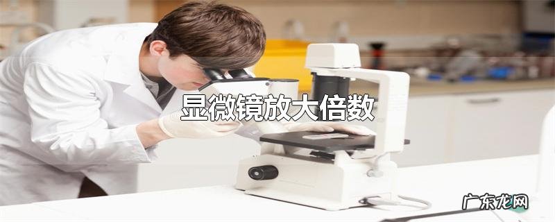 显微镜放大倍数