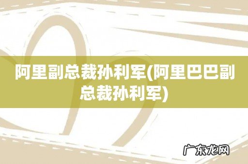 阿里巴巴副总裁孙利军 阿里副总裁孙利军