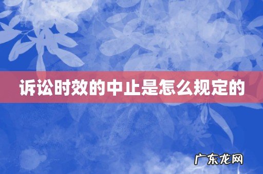 诉讼时效的中止是怎么规定的