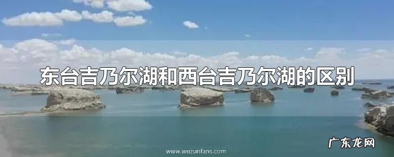 东台吉乃尔湖和西台吉乃尔湖的区别