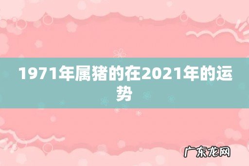 1971年属猪的在2021年的运势