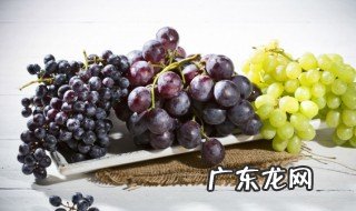 巨峰葡萄原产地在哪里 巨峰葡萄原产地为日本对吗