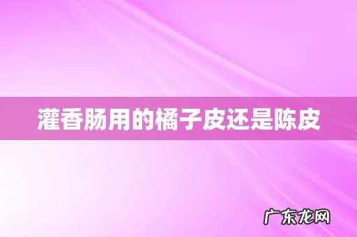 灌香肠用的橘子皮还是陈皮