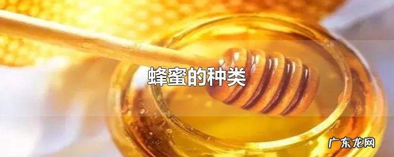 蜂蜜的种类