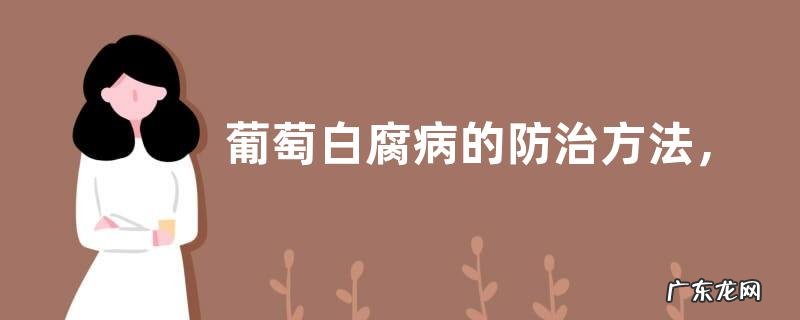 葡萄白腐病的防治方法，什么是葡萄白腐病