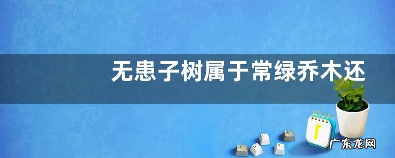 无患子树属于常绿乔木还是落叶乔木，附无患子的繁殖方法
