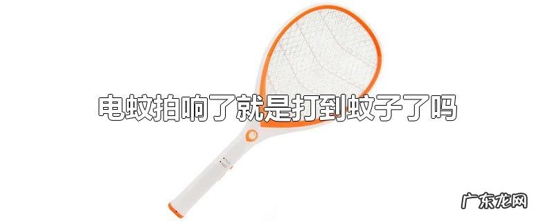 电蚊拍响了就是打到蚊子了吗