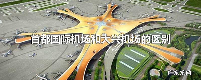 首都国际机场和大兴机场的区别