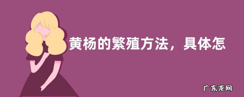 黄杨的繁殖方法，具体怎么操作