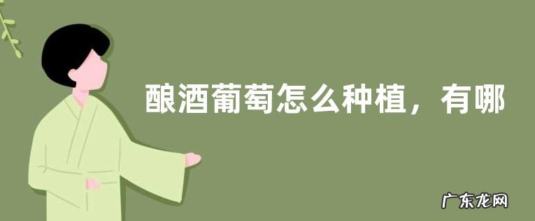 酿酒葡萄怎么种植,有哪些技术要点