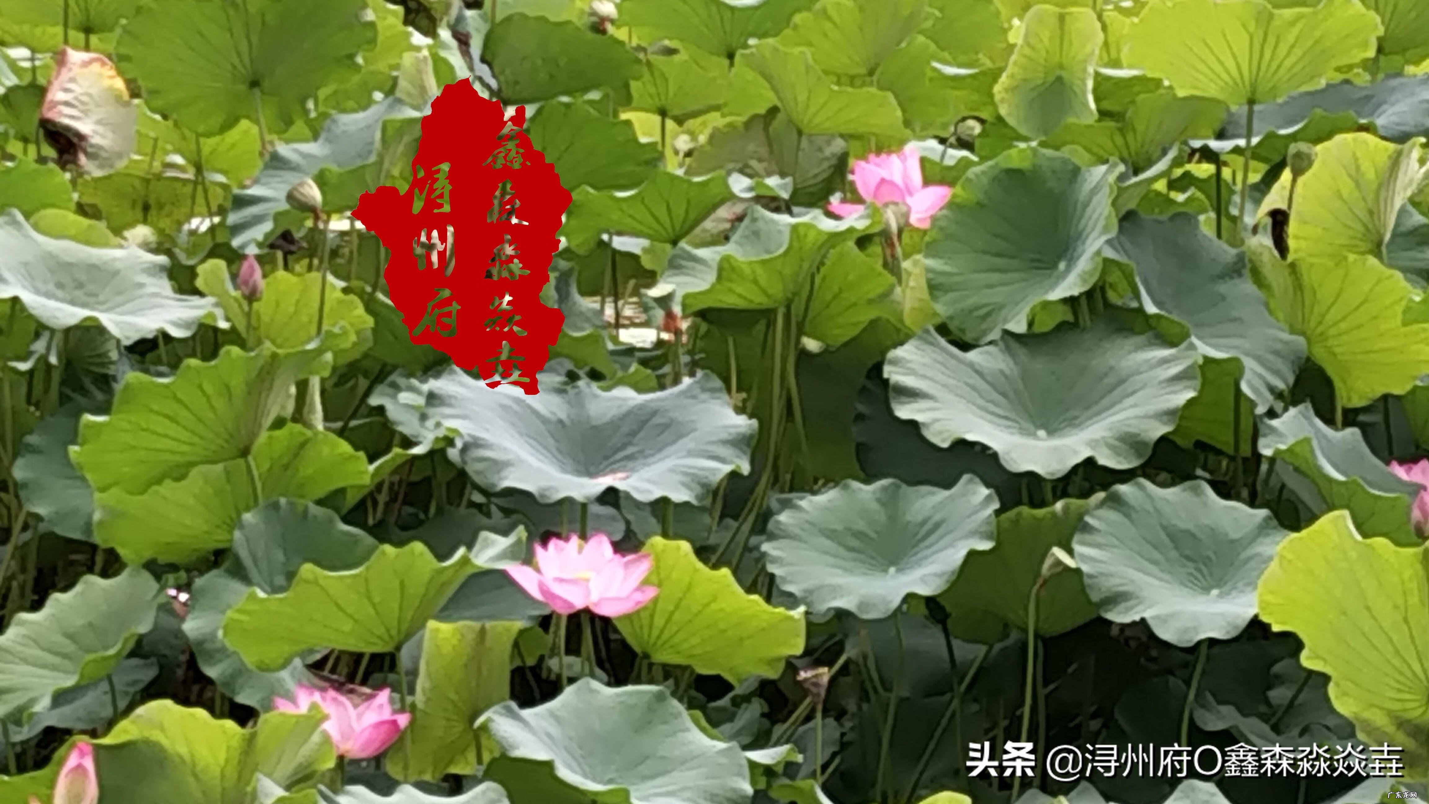 临桂风水传说 桂平风水留题地