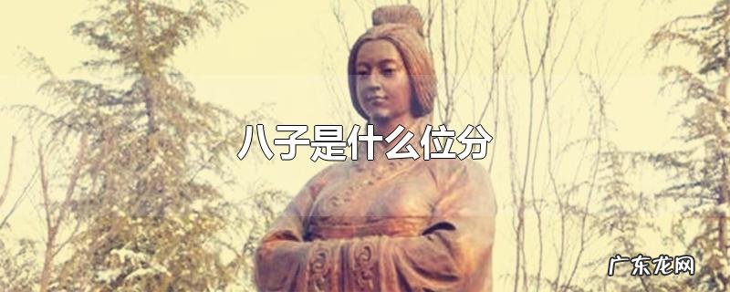 八子是什么位分