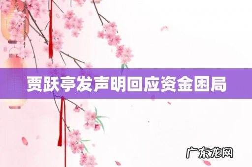 贾跃亭发声明回应资金困局