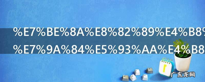 羊肉串是羊的哪个部位 制作羊肉串用什么位置