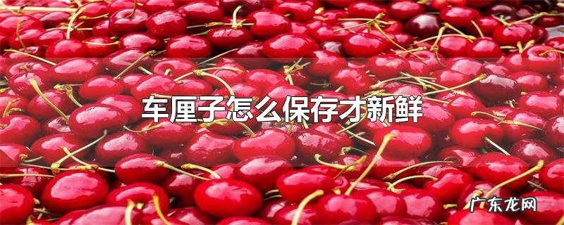 车厘子怎么保存才新鲜