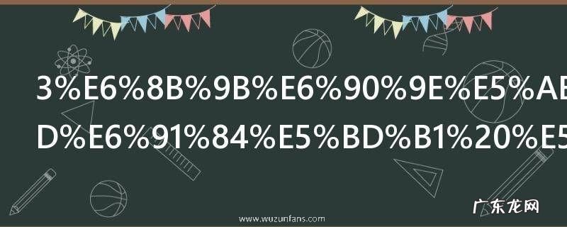 3招搞定微距摄影 如何三招搞定微距摄影