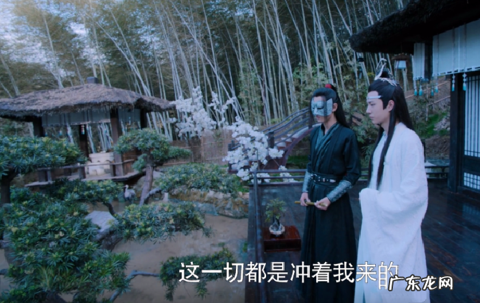 仙鹤的寓意和象征风水