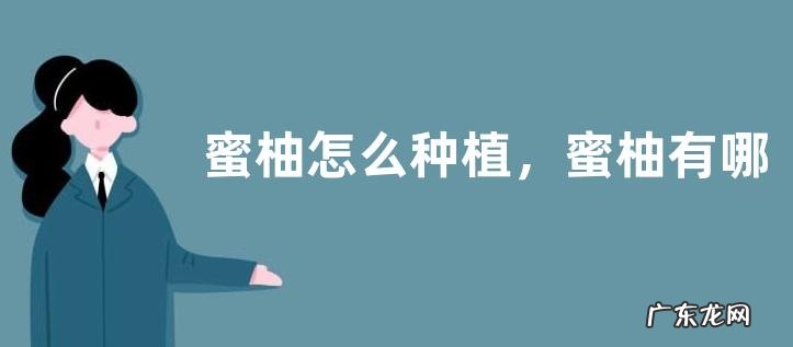 蜜柚怎么种植,蜜柚有哪些市场价值