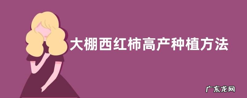 大棚西红柿高产种植方法,有哪些技术要点