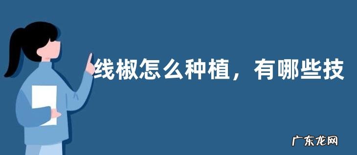 线椒怎么种植，有哪些技术要点