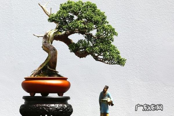 过年卖什么挣钱,根据市场行情选择项目