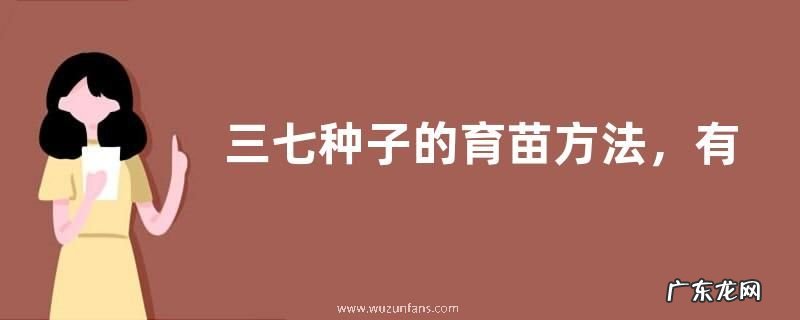 三七种子的育苗方法,有哪些要点