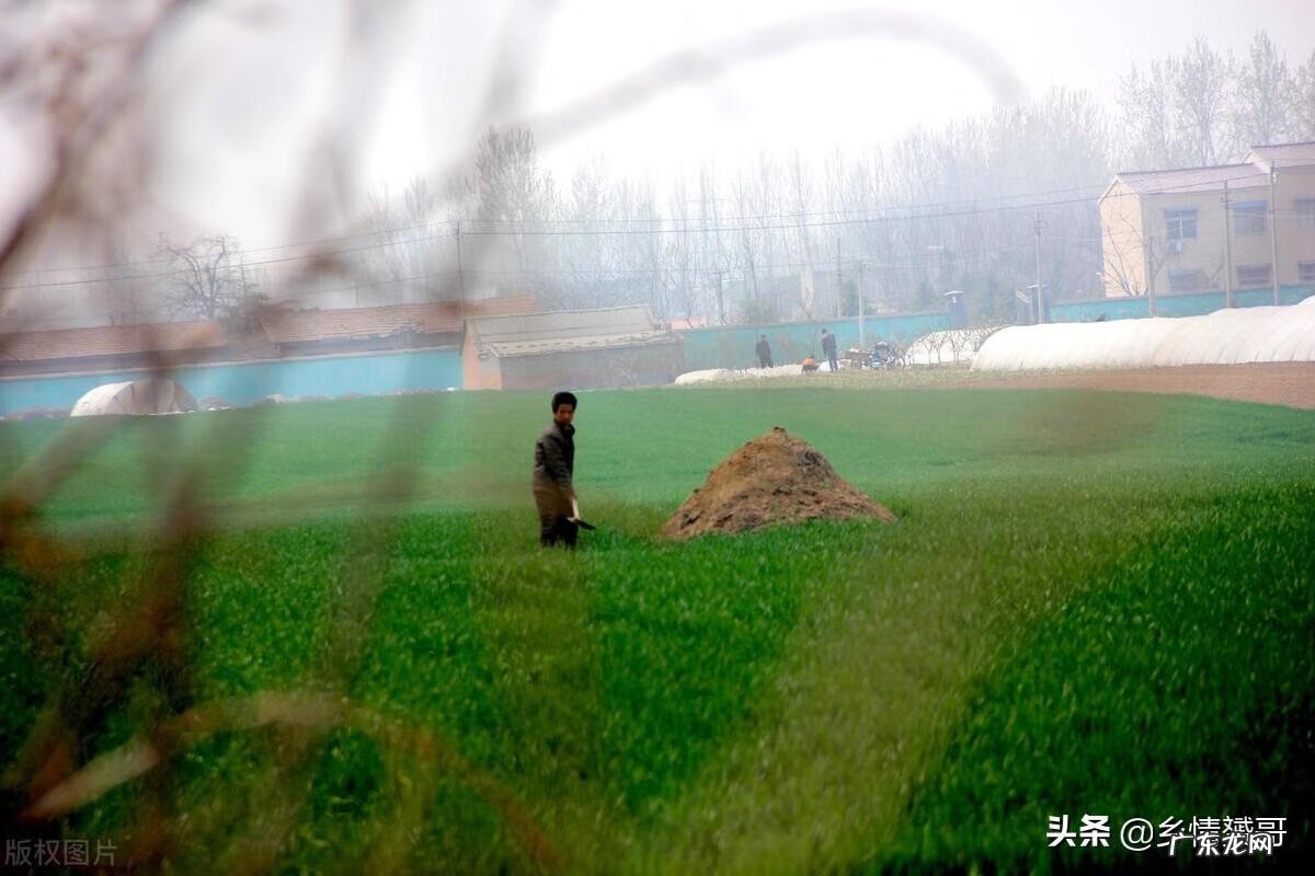 坟地前低洼好不好 坟前低风水好不好呢