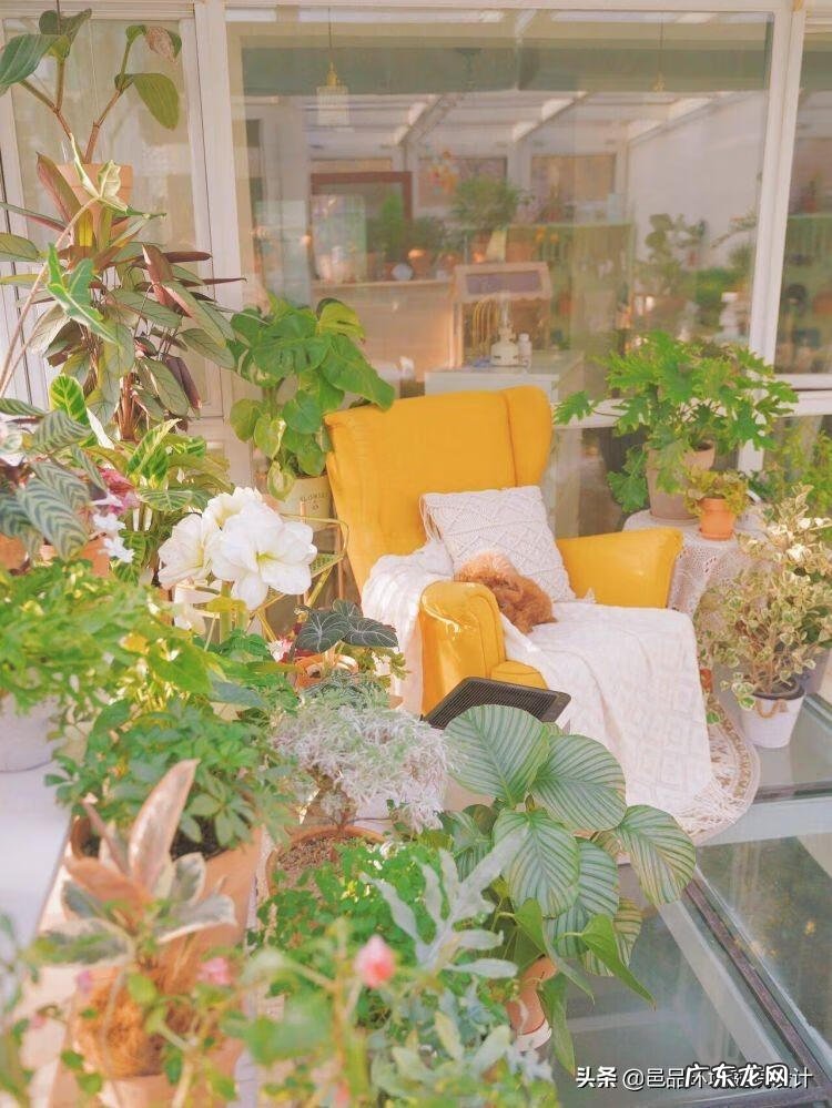 楼顶做花园风水好吗 屋顶做花园风水好吗