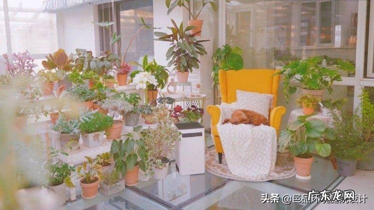 楼顶做花园风水好吗 屋顶做花园风水好吗