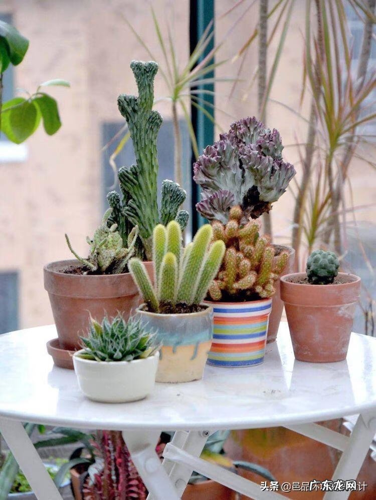 楼顶做花园风水好吗 屋顶做花园风水好吗