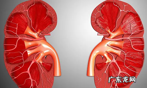 止痛药吃多了会导致肾衰竭吗