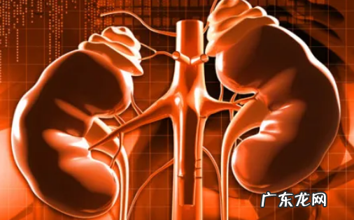 止痛药吃多了会导致肾衰竭吗