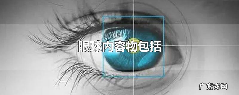 眼球内容物包括