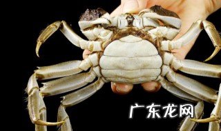 螃蟹和海参可以一起吃吗 螃蟹和海参能一起吃吗