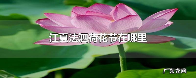 江夏法泗荷花节在哪里