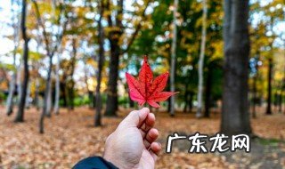 一季叶三色叶落已三秋什么意思 一季叶三色叶落已三秋的意思