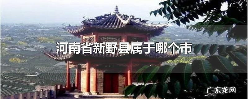 河南省新野县属于哪个市