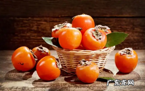 柿子是上火还是下火的水果