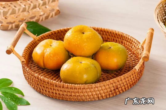 柿子是上火还是下火的水果