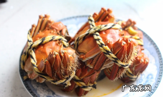 螃蟹生冻和熟冻哪个好