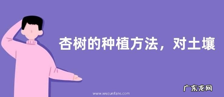 杏树的种植方法，对土壤、温度、光照、水分有哪些要求