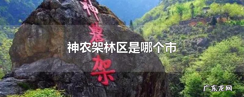 神农架林区是哪个市