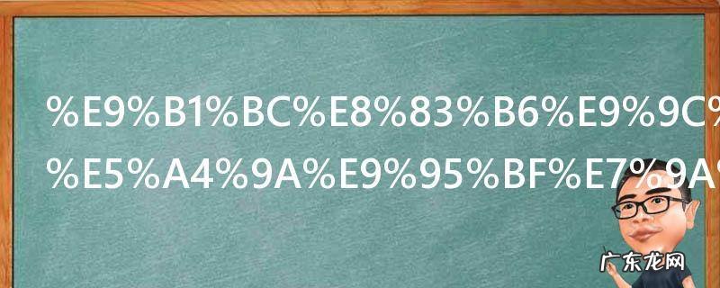 鱼胶需要炖多长的时间 鱼胶需要炖半个钟吗