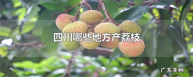 四川哪些地方产荔枝