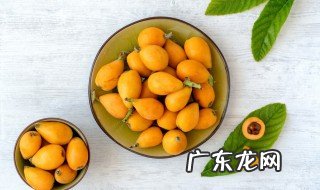 枇杷含糖量是多少 枇杷有多少含糖量