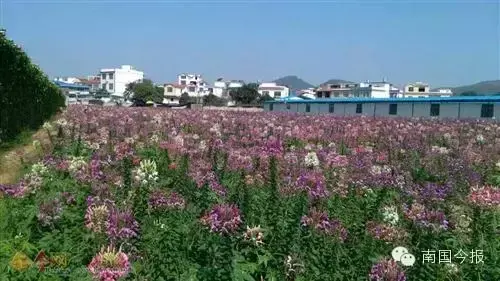 广西柳城汽车站图片 柳州柳江风水全图